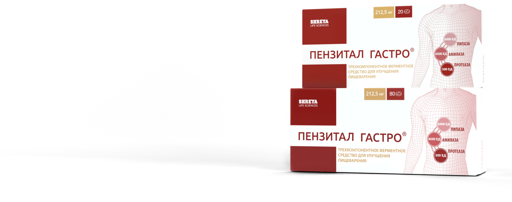 пензитал гастро