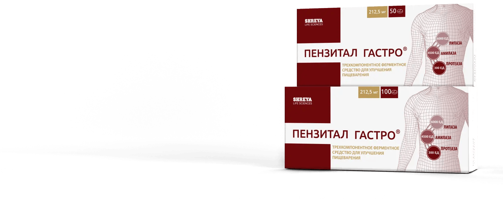 пензитал гастро 2